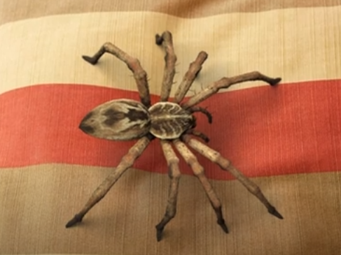 🔥BUY 1 GET 1 FREE🔥Lifelike Spider